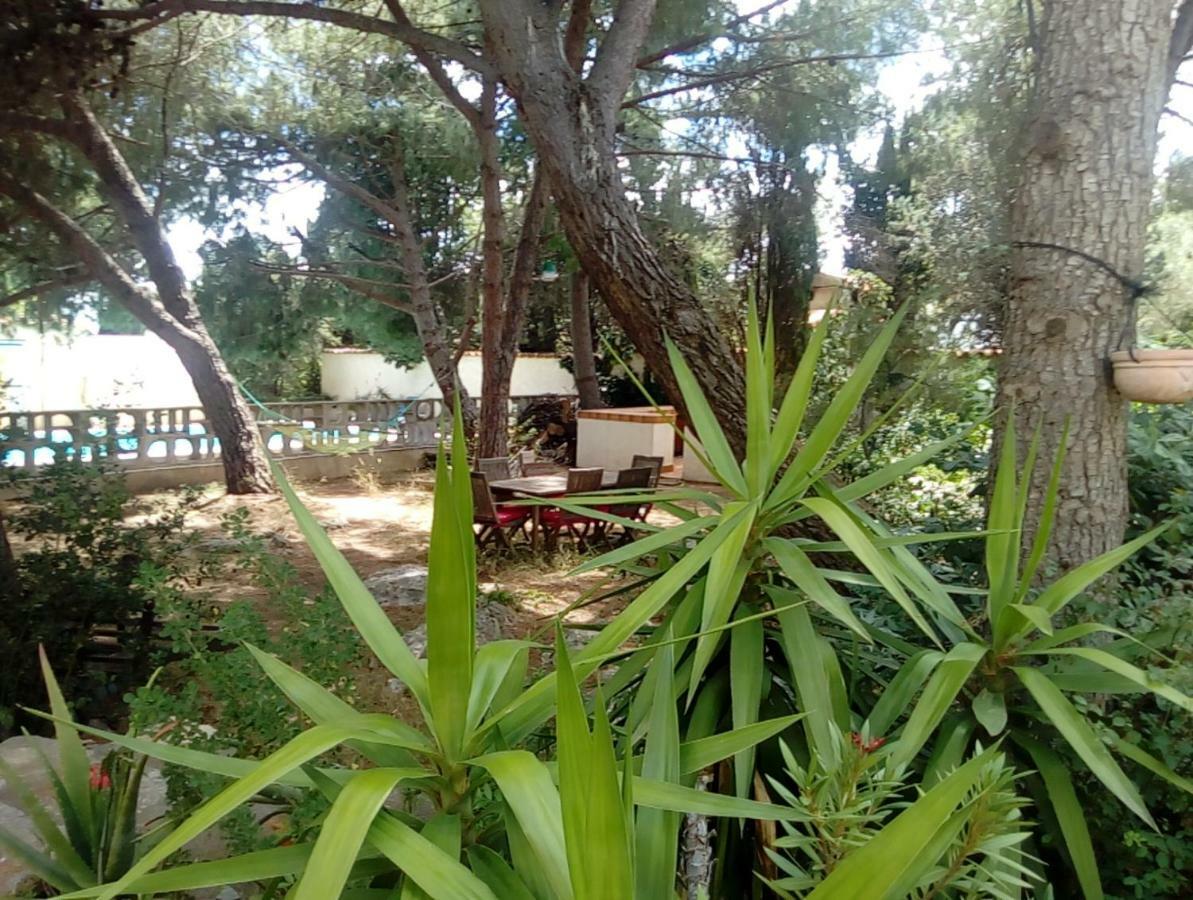 Le Paradis De Valerie Sète Exteriör bild